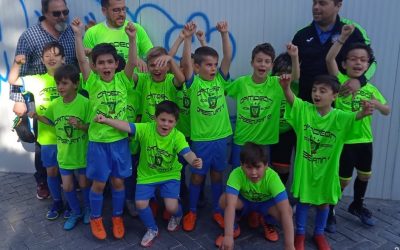 Jornada 6 al 8 de Mayo